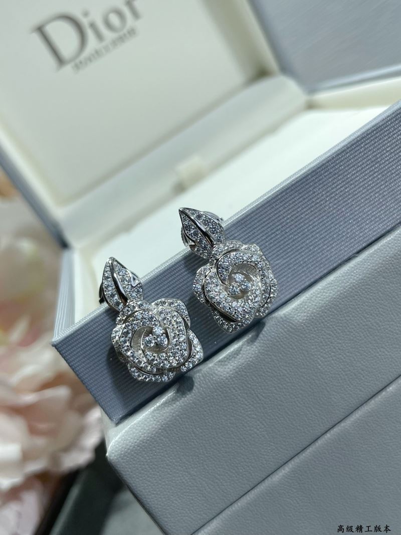 Christian Dior Earrings